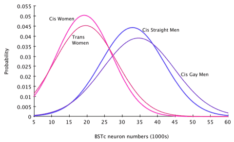Neuron numbers